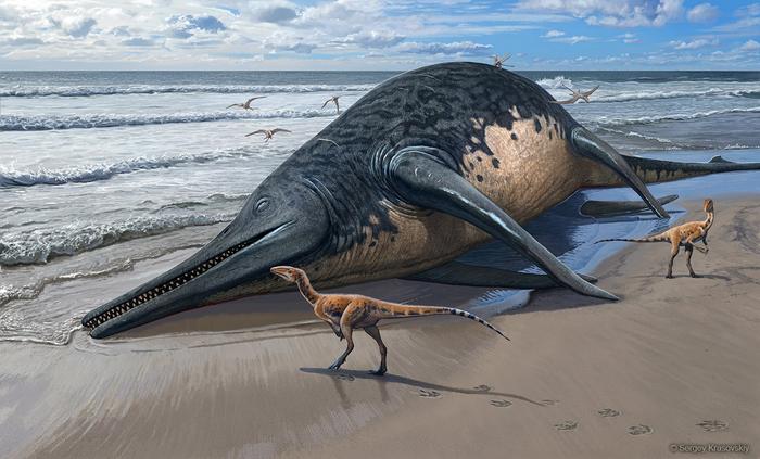 Ichthyotitan: Unearthing the Largest Marine Reptile Known